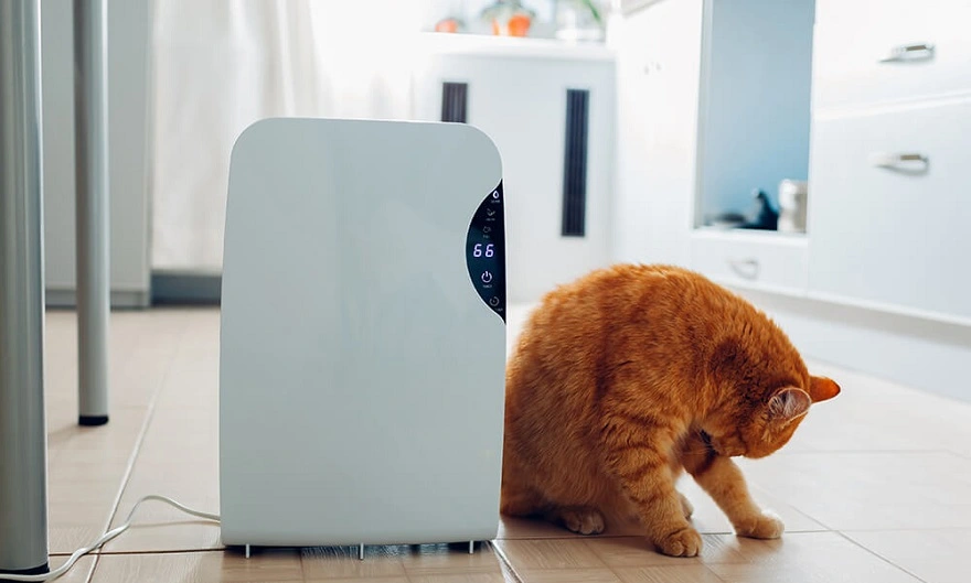 As 7 principais maneiras criativas de impulsionar sua mídia